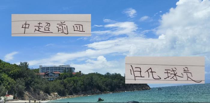 中超前 4 归化球员 还是北京国安塞鸟 表现最帅